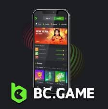 Explore BC Game Online Casino in Romania Your Ultimate Gaming Destination